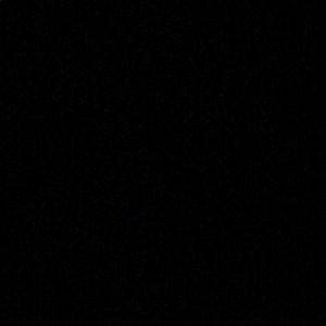 Meet your Posher, Max